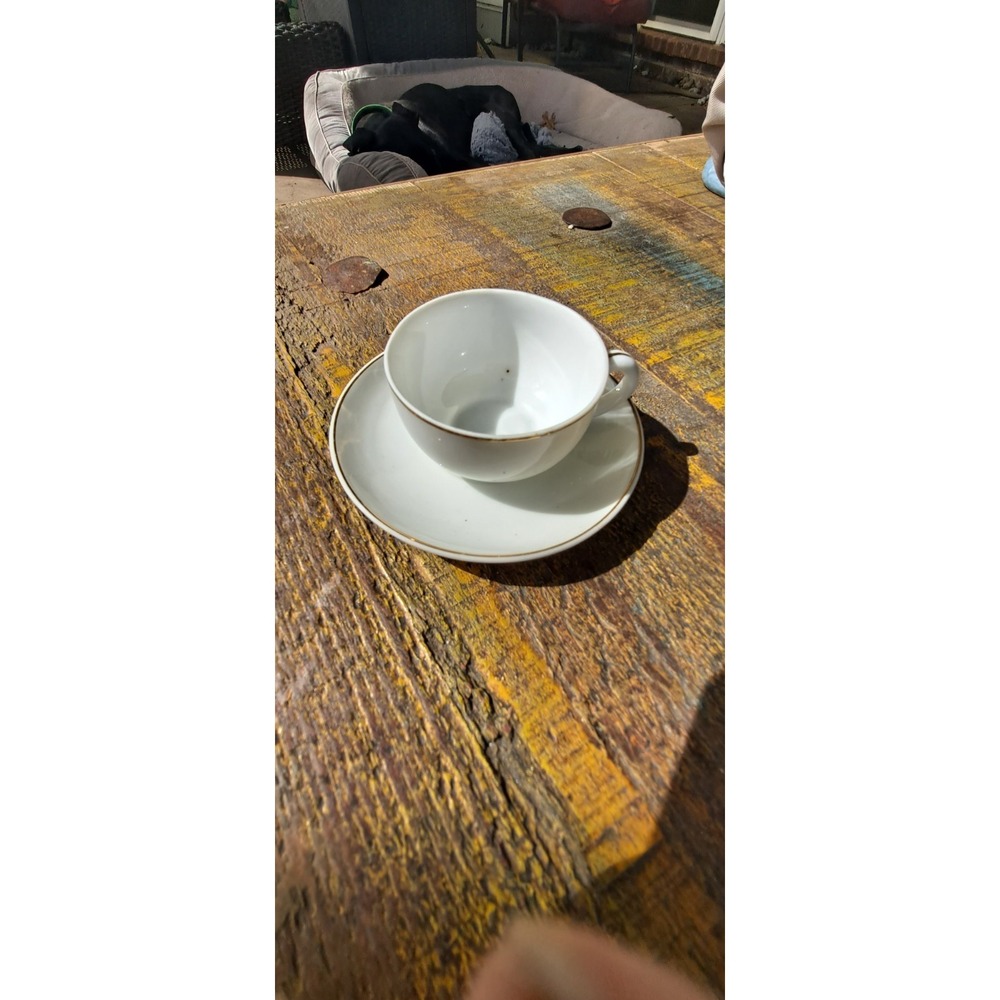 Hand Painted White With gold Trim.made In Japan Tea Cup & Saucer